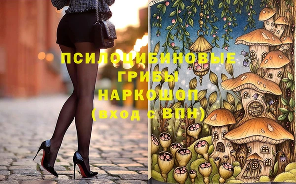 прущий лед Козельск