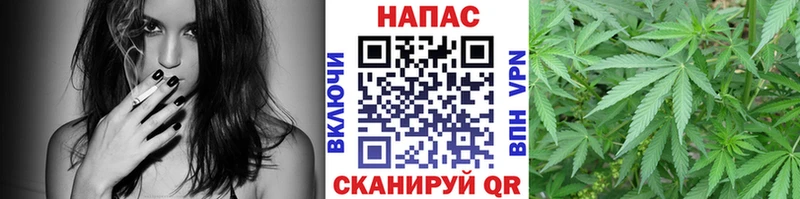 Шишки марихуана сатива  Купить  Вихоревка 